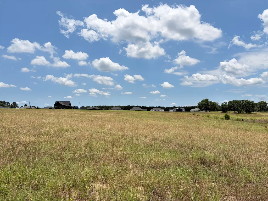 Lot 3 Cr 4507 Athens TX 75752