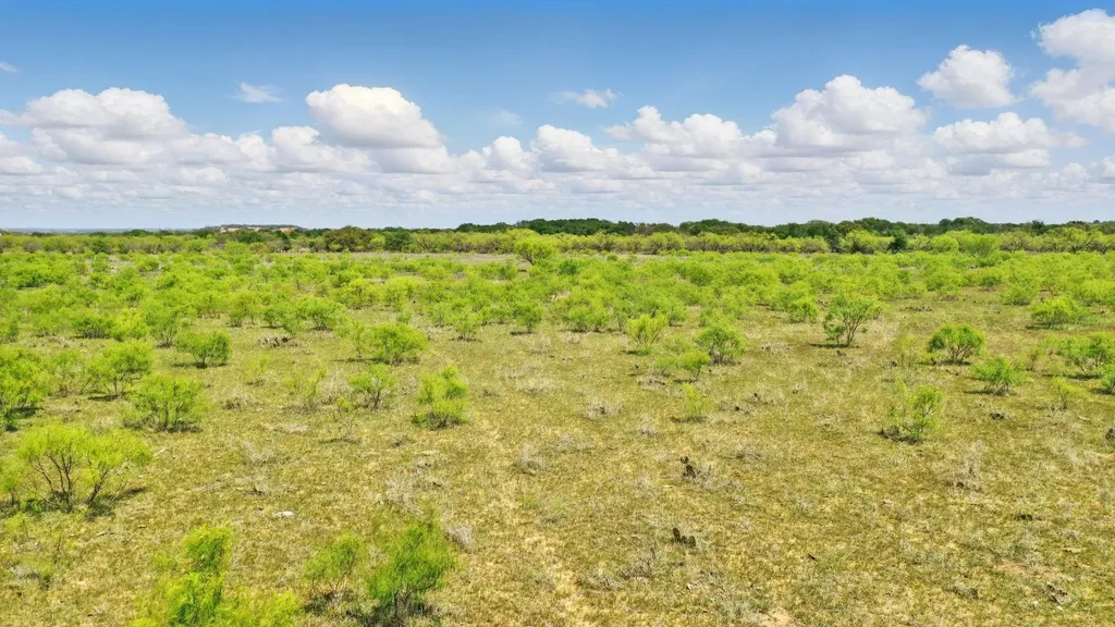 1359 Cr 195 Gorman TX 76454