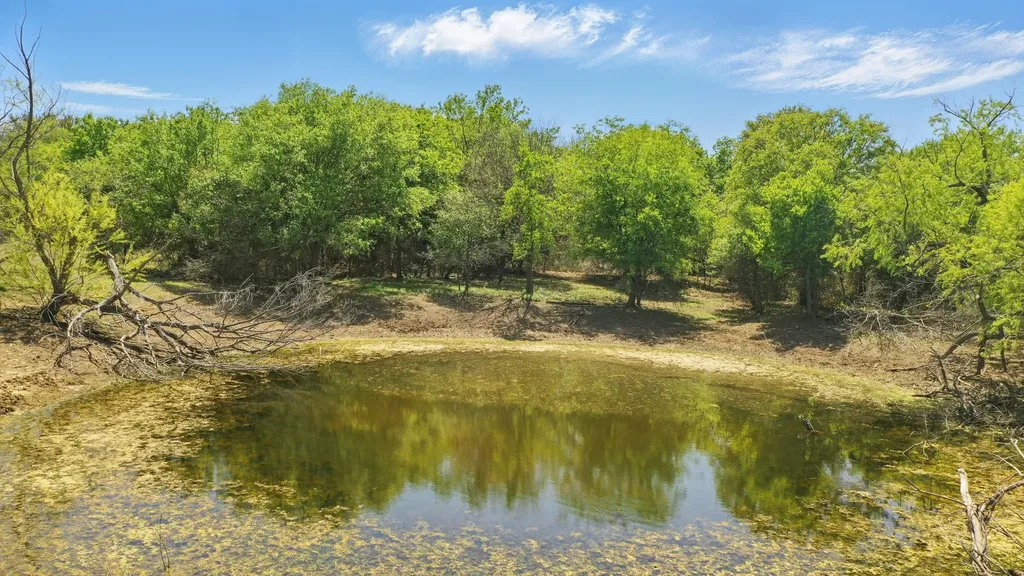 1359 Cr 195 Gorman TX 76454
