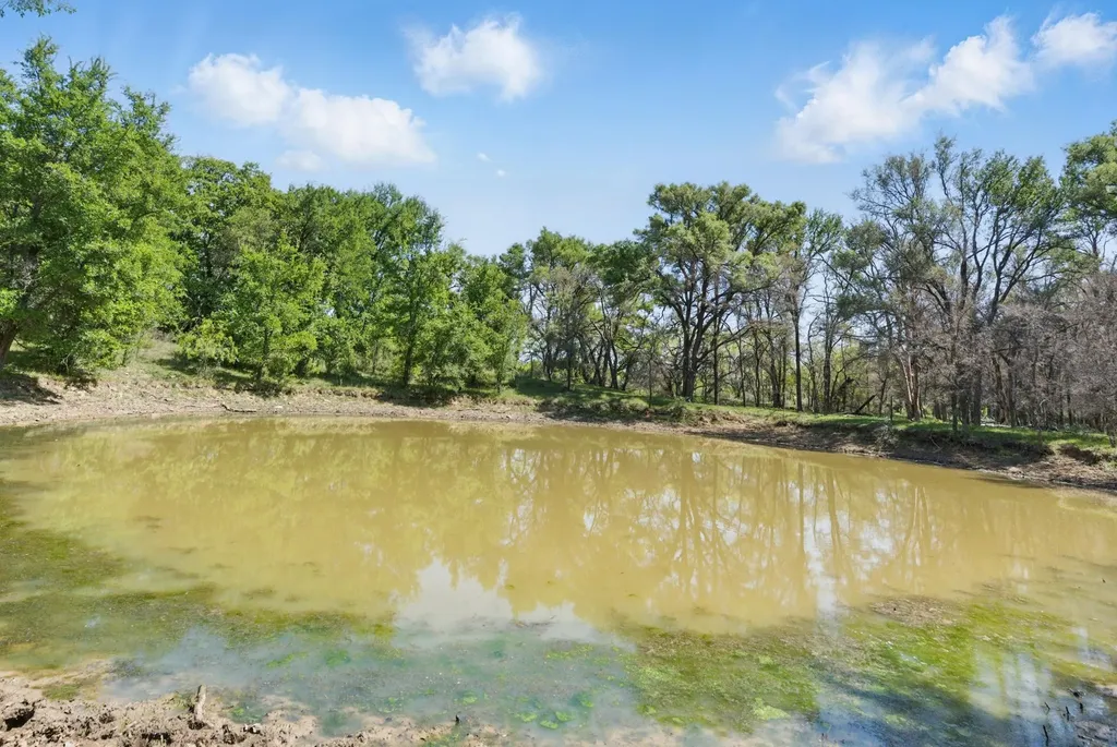 1359 Cr 195 Gorman TX 76454