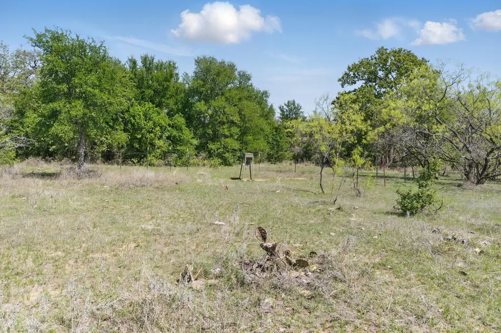 1359 Cr 195 Gorman TX 76454