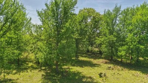 1359 Cr 195 Gorman TX 76454