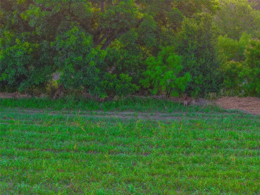 524 County Road 453 Troy TX 76579