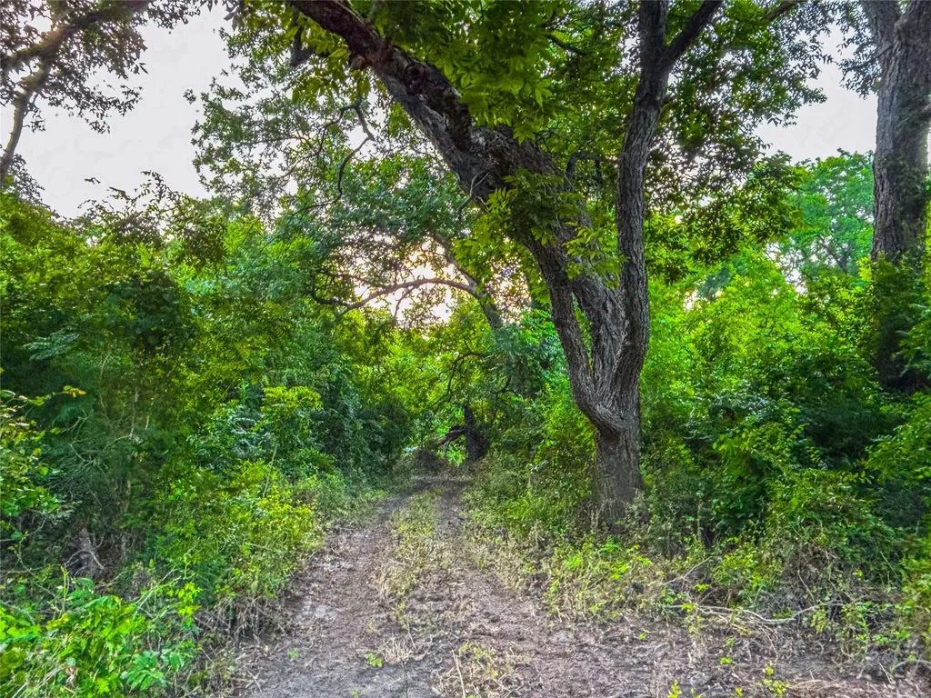 524 County Road 453 Troy TX 76579