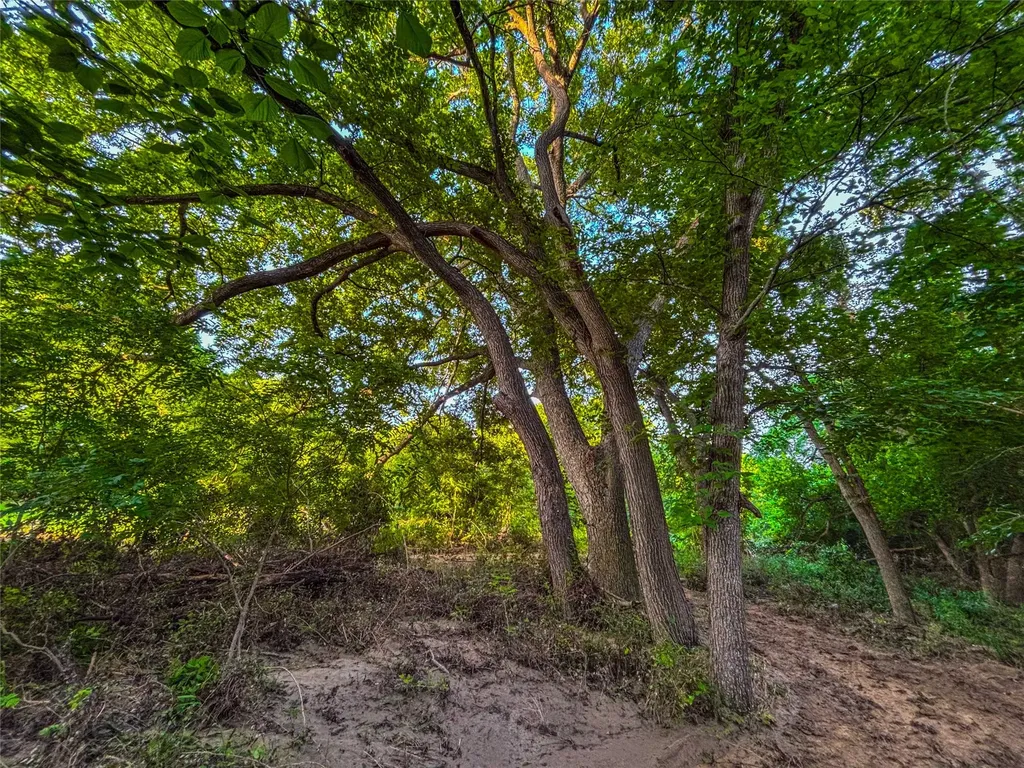 524 County Road 453 Troy TX 76579
