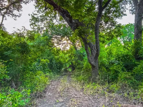 524 County Road 453 Troy TX 76579