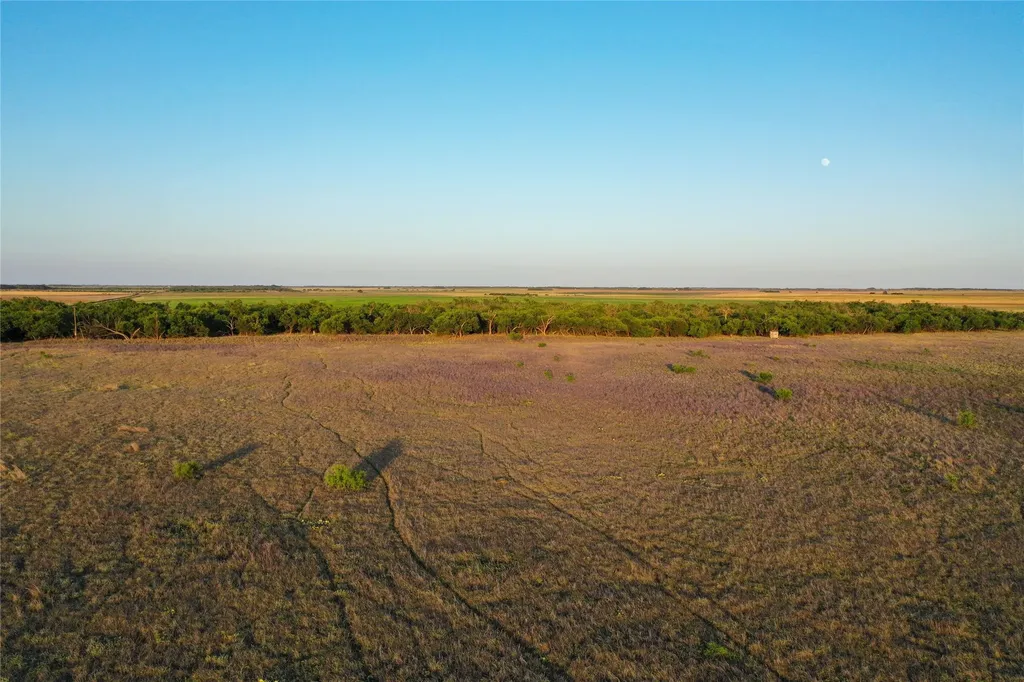 Tbd Cr 146 Rule TX 79547