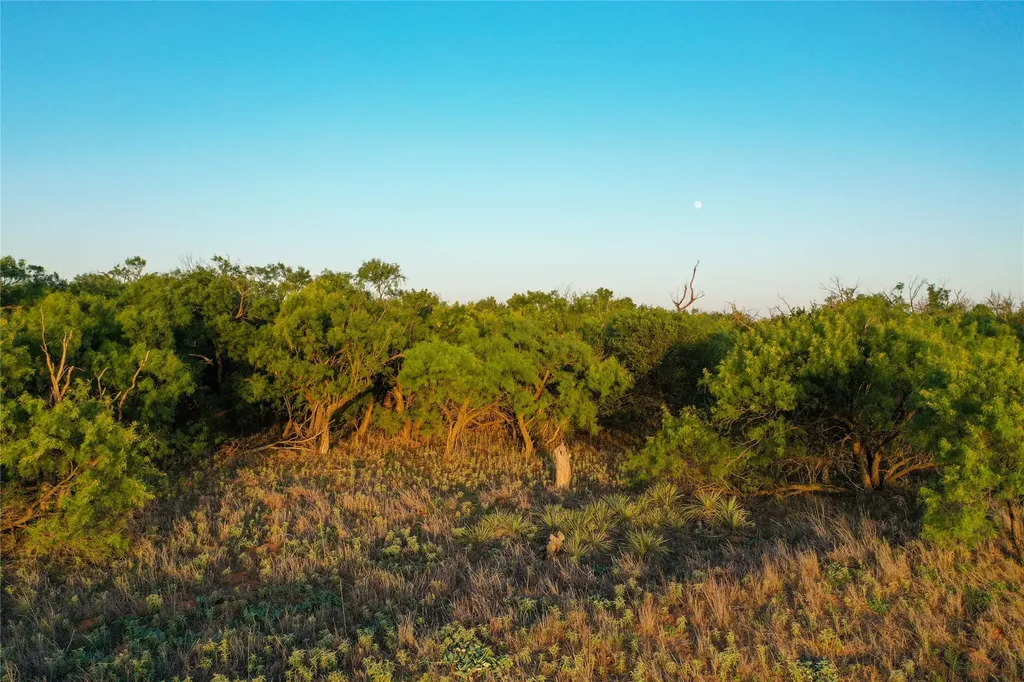 Tbd Cr 146 Rule TX 79547