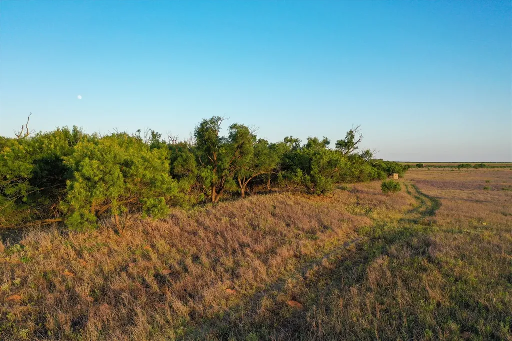 Tbd Cr 146 Rule TX 79547