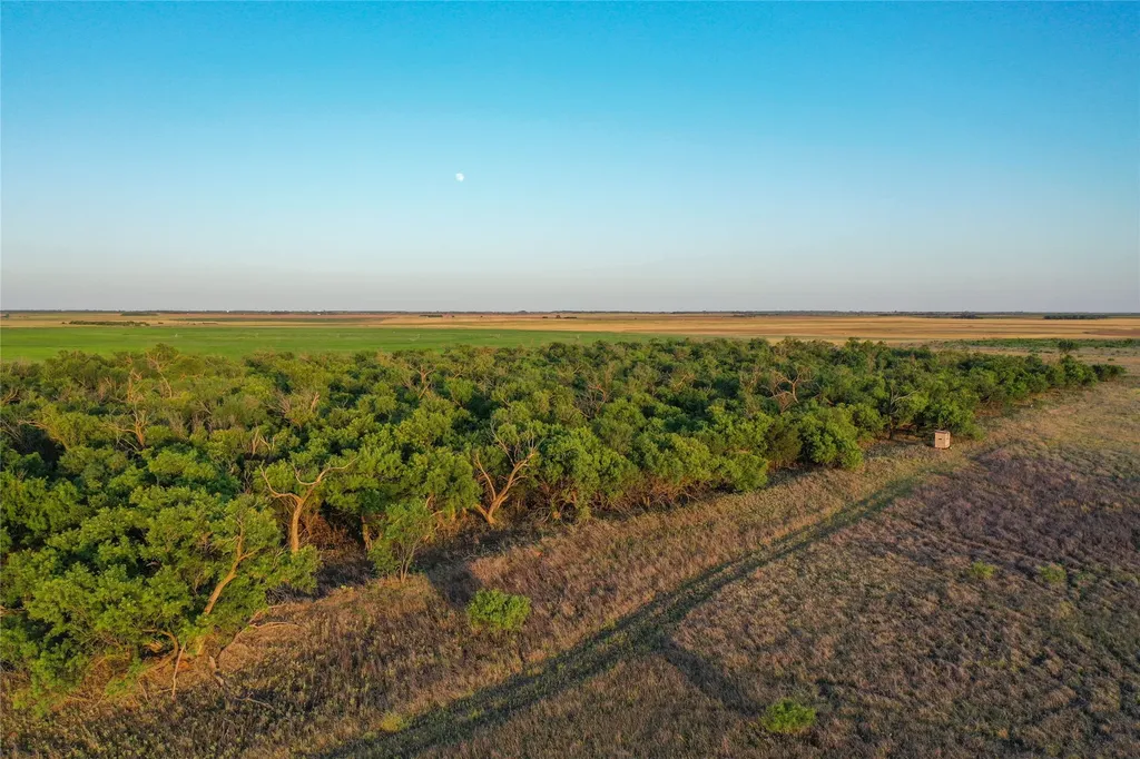 Tbd Cr 146 Rule TX 79547