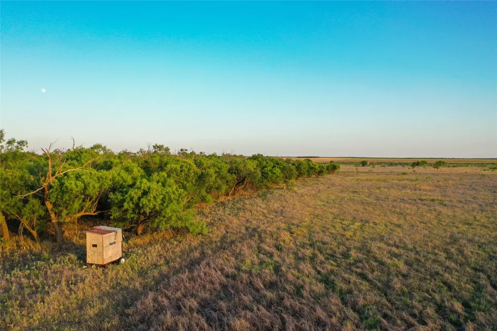 Tbd Cr 146 Rule TX 79547