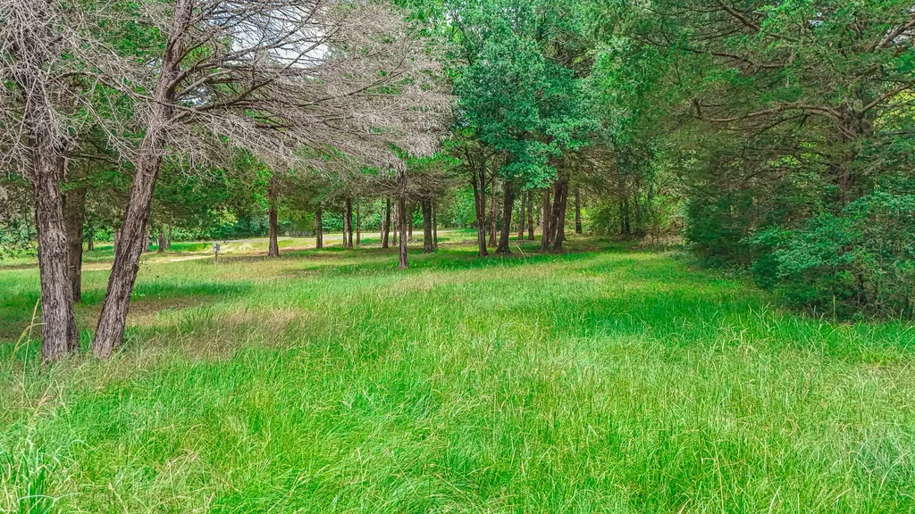 Lot 57-r Shiloh Lane Streetman TX 75859
