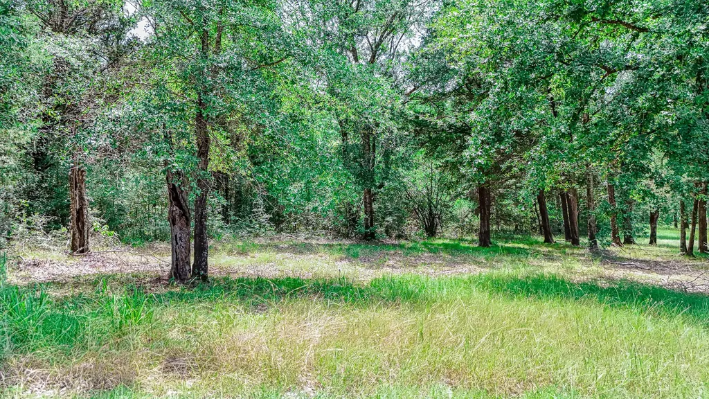 Lot 57-r Shiloh Lane Streetman TX 75859