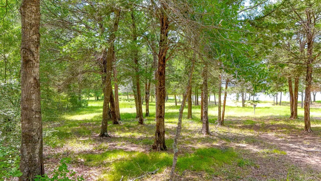 Lot 57-r Shiloh Lane Streetman TX 75859