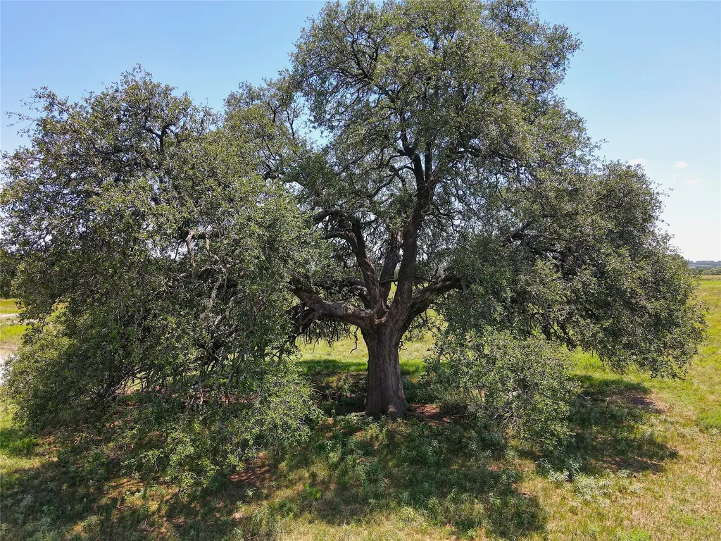 3976 Fm 1477 Comanche TX 76442