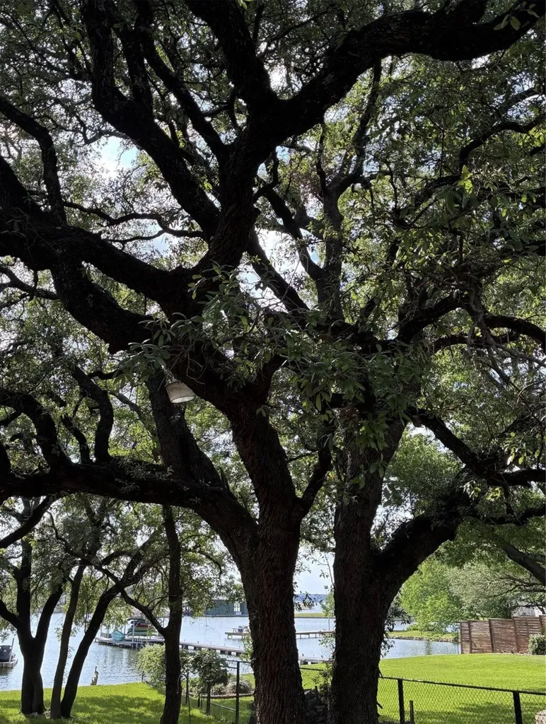 1408 Island Village Court Granbury TX 76048