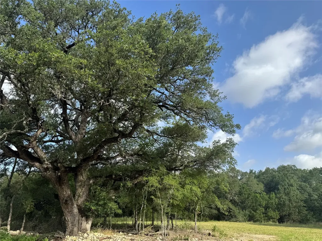 318 Whitetail Drive Waco TX 76712