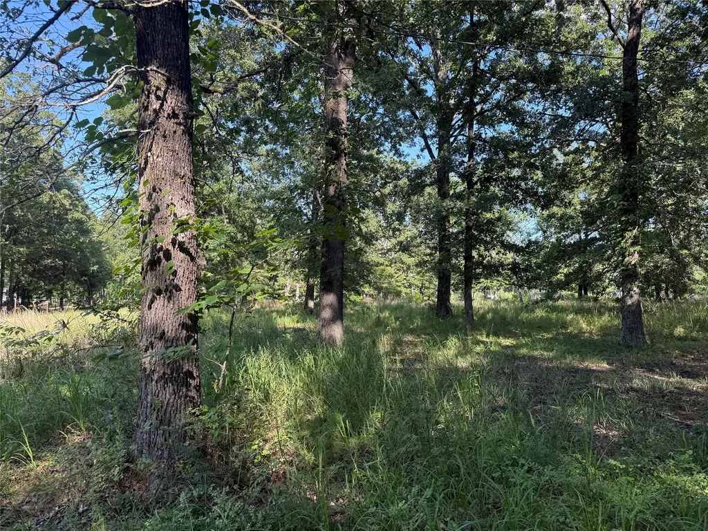 000 Cr 2418 Honey Grove TX 75446