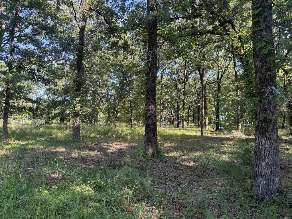 000 Cr 2418 Honey Grove TX 75446