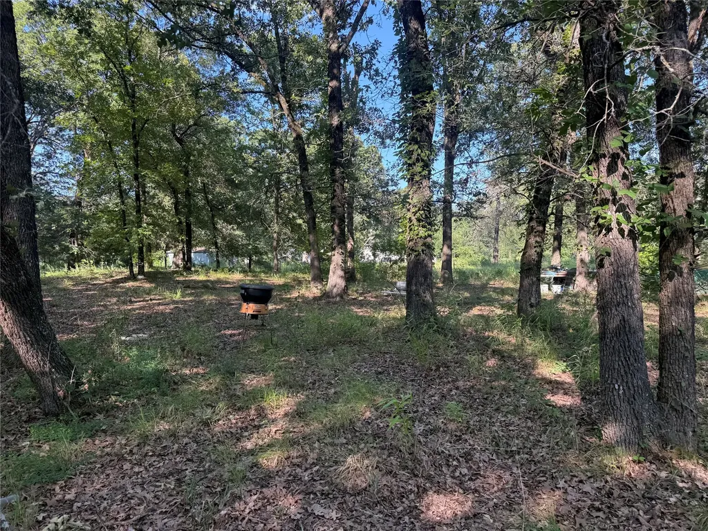 000 Cr 2418 Honey Grove TX 75446