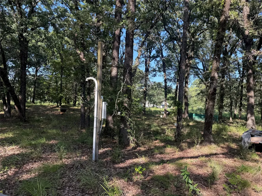 000 Cr 2418 Honey Grove TX 75446