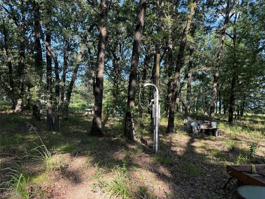 000 Cr 2418 Honey Grove TX 75446