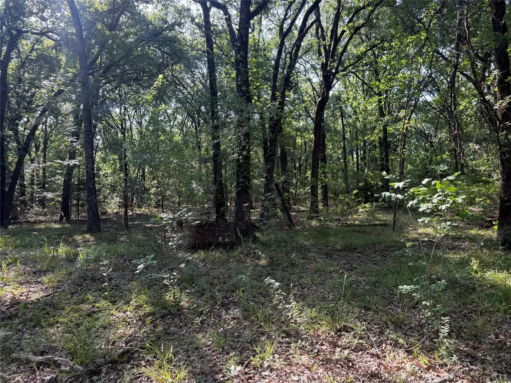 000 Cr 2418 Honey Grove TX 75446