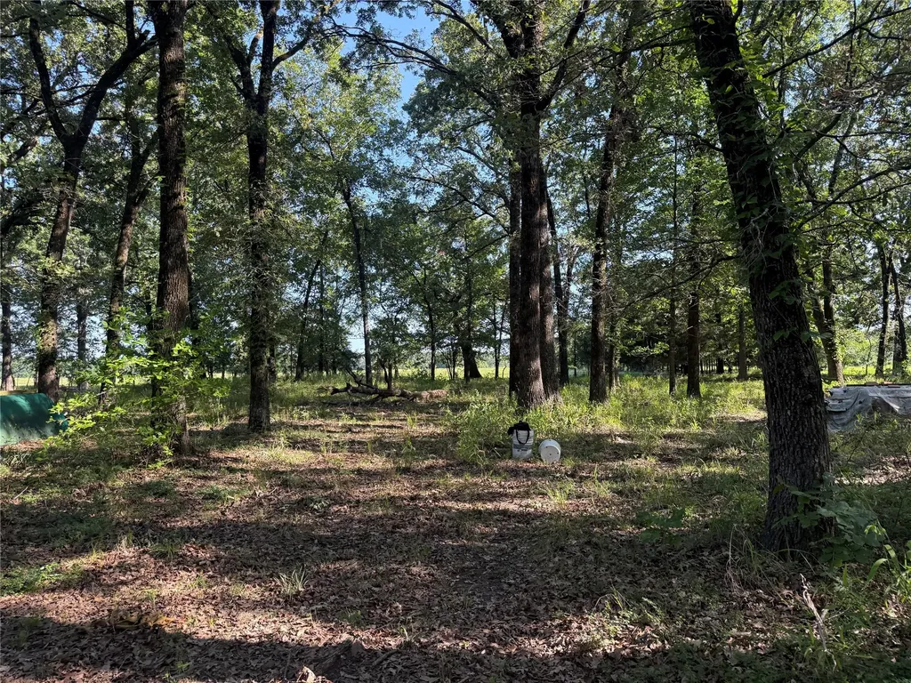 000 Cr 2418 Honey Grove TX 75446