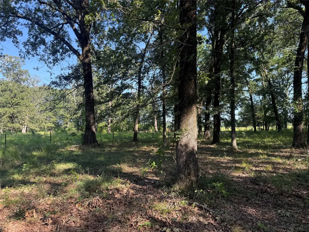 000 Cr 2418 Honey Grove TX 75446