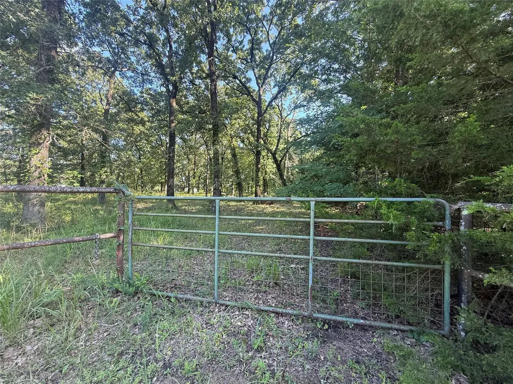 000 Cr 2418 Honey Grove TX 75446