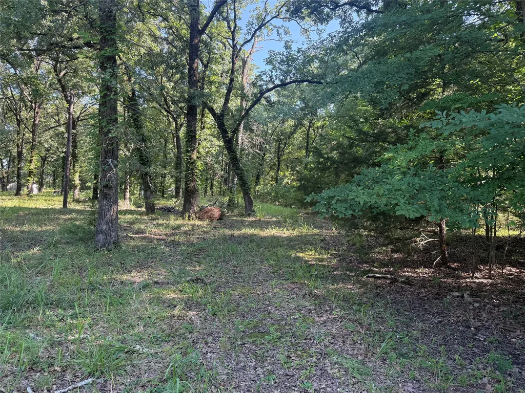 000 Cr 2418 Honey Grove TX 75446