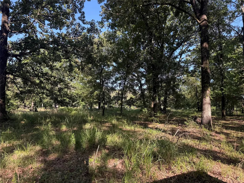 000 Cr 2418 Honey Grove TX 75446