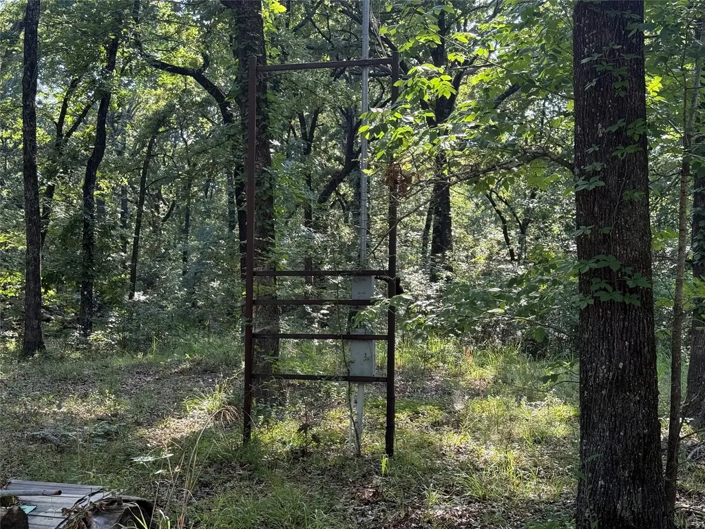 000 Cr 2418 Honey Grove TX 75446