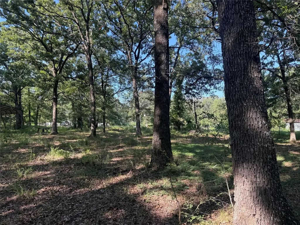 000 Cr 2418 Honey Grove TX 75446