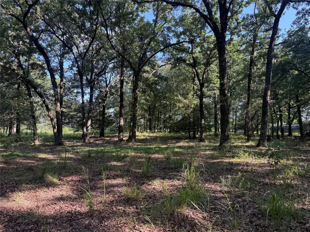 000 Cr 2418 Honey Grove TX 75446