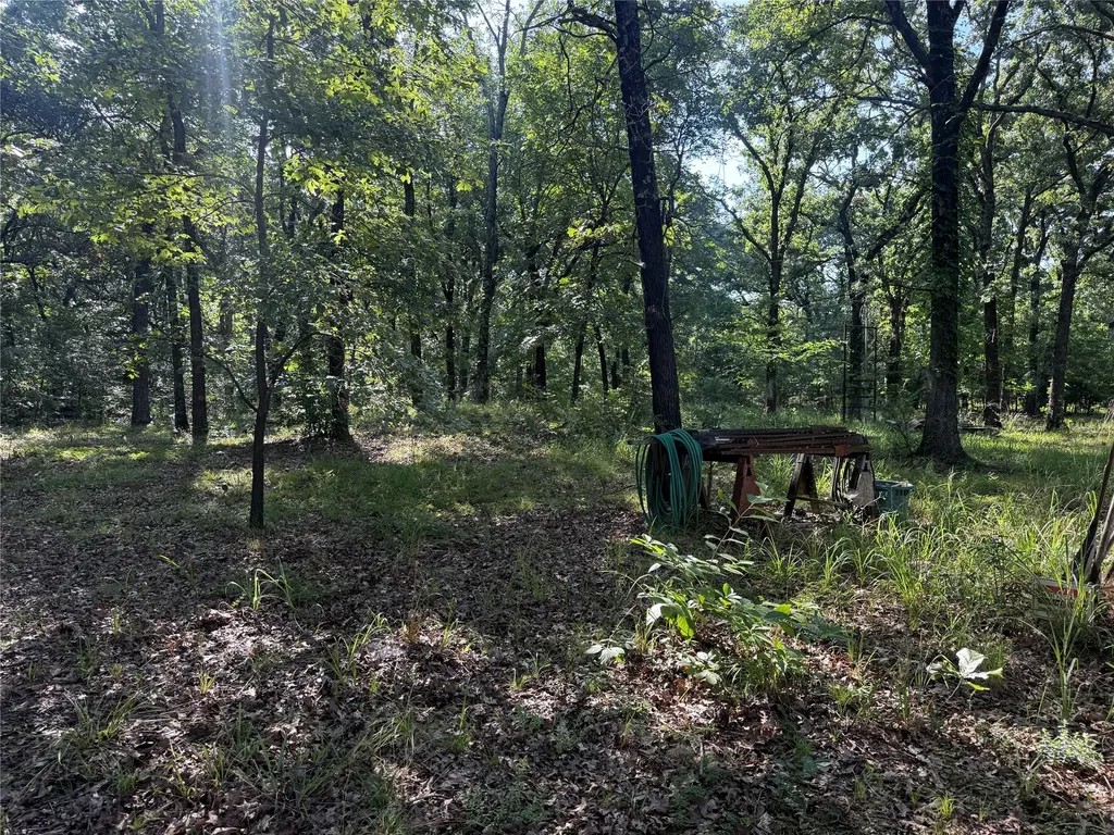 000 Cr 2418 Honey Grove TX 75446