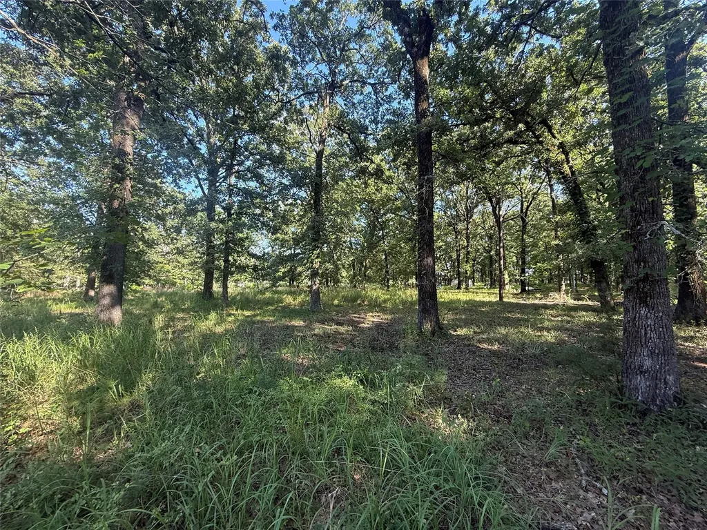 000 Cr 2418 Honey Grove TX 75446