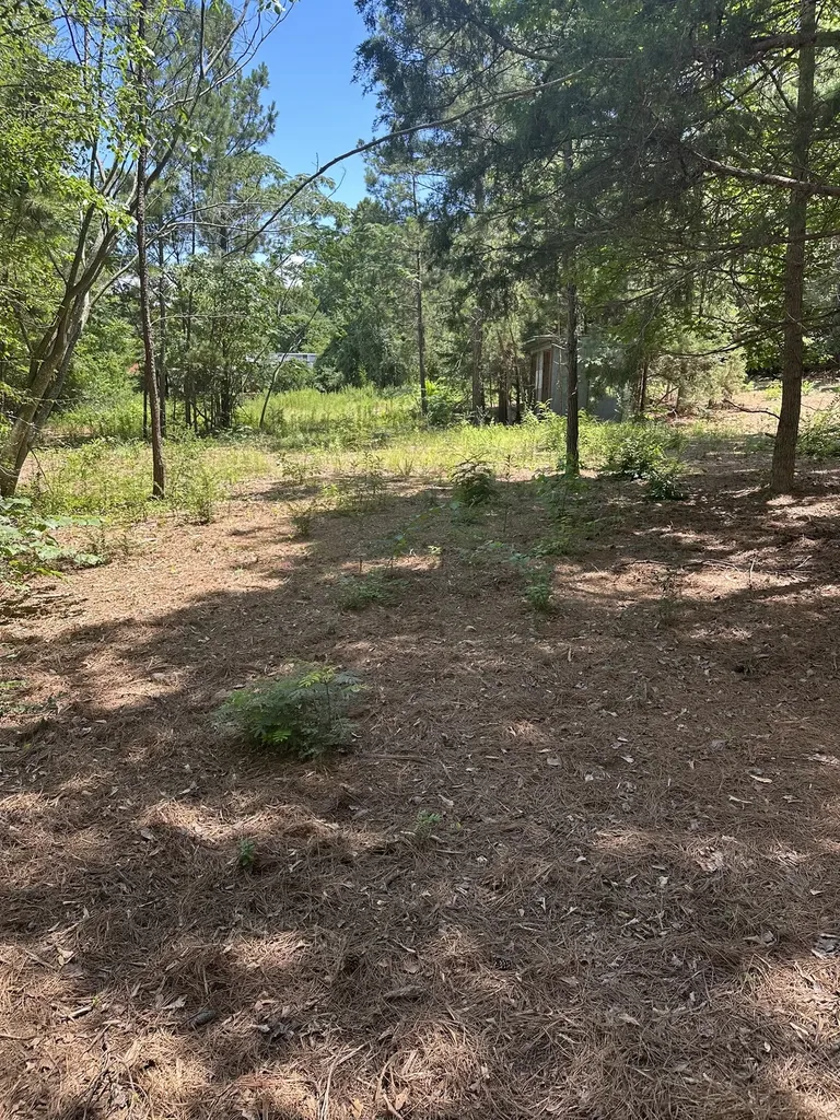 3520 County Road 219 Tyler TX 75707