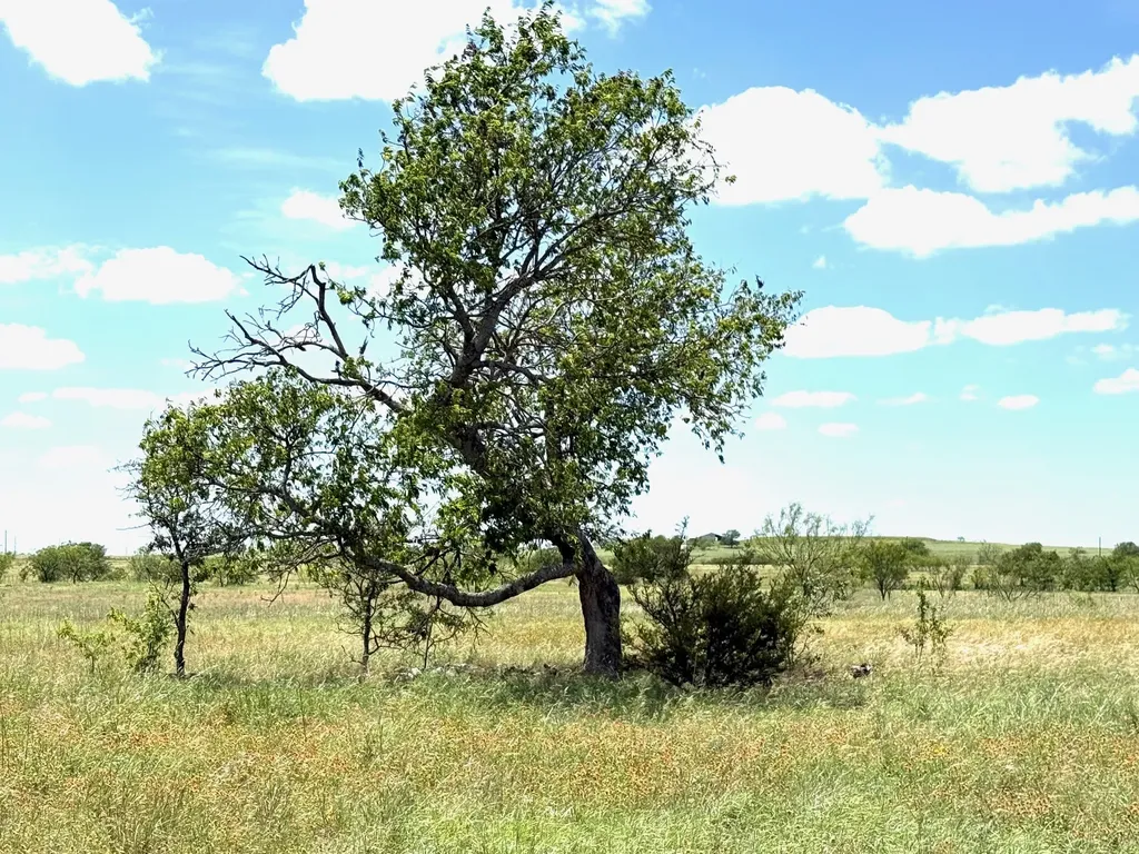 Lot 30 Pr 4311 Jonesboro TX 76538