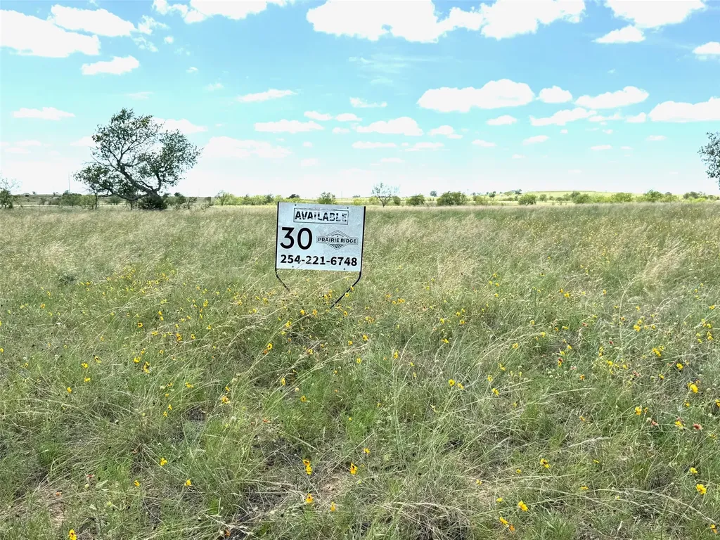 Lot 30 Pr 4311 Jonesboro TX 76538