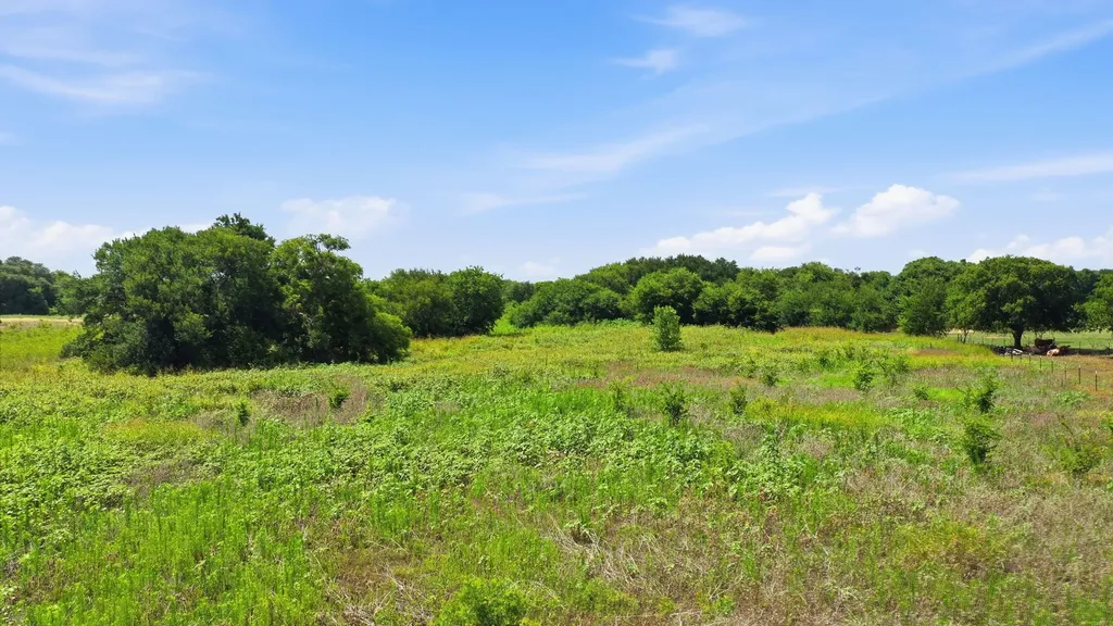 Tbd Lot 95 Pr 191 Blum TX 76627