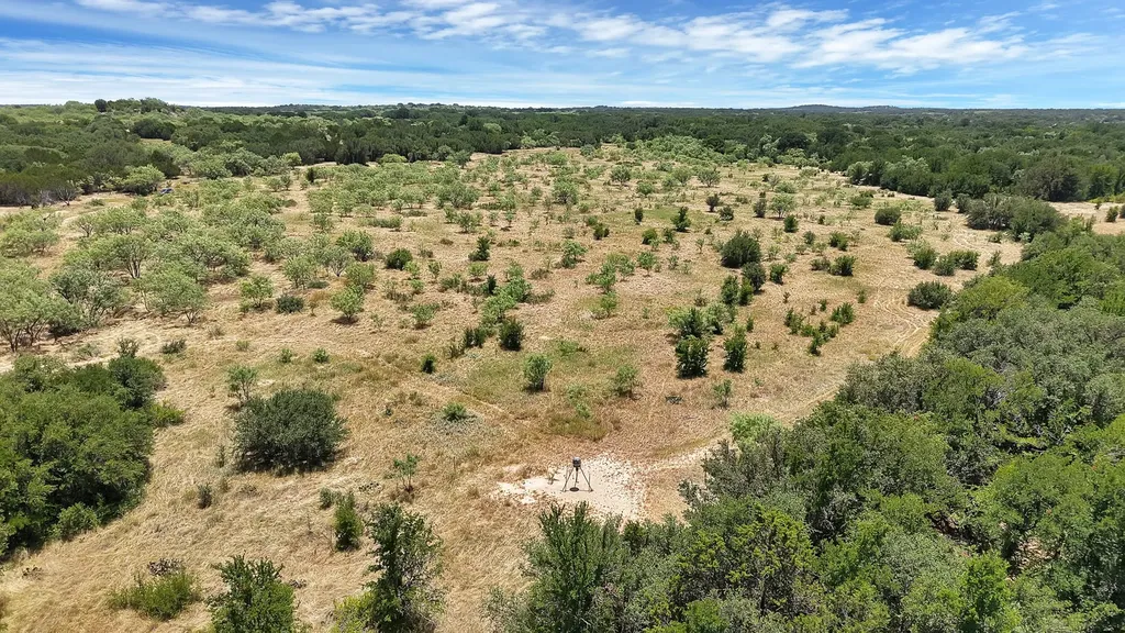 Tbd County Road 136 #59 Ranger TX 76424