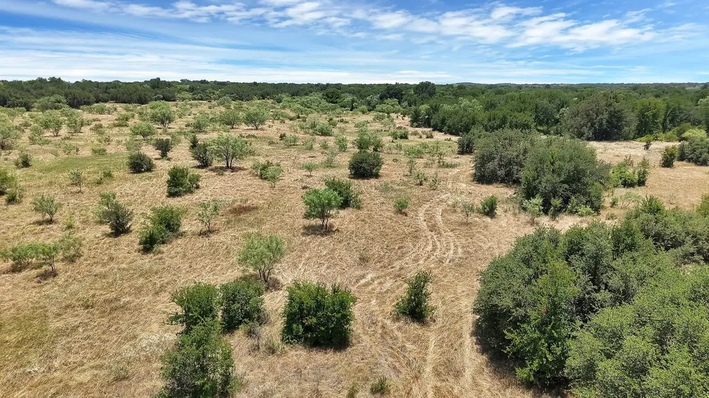 Tbd County Road 136 #59 Ranger TX 76424