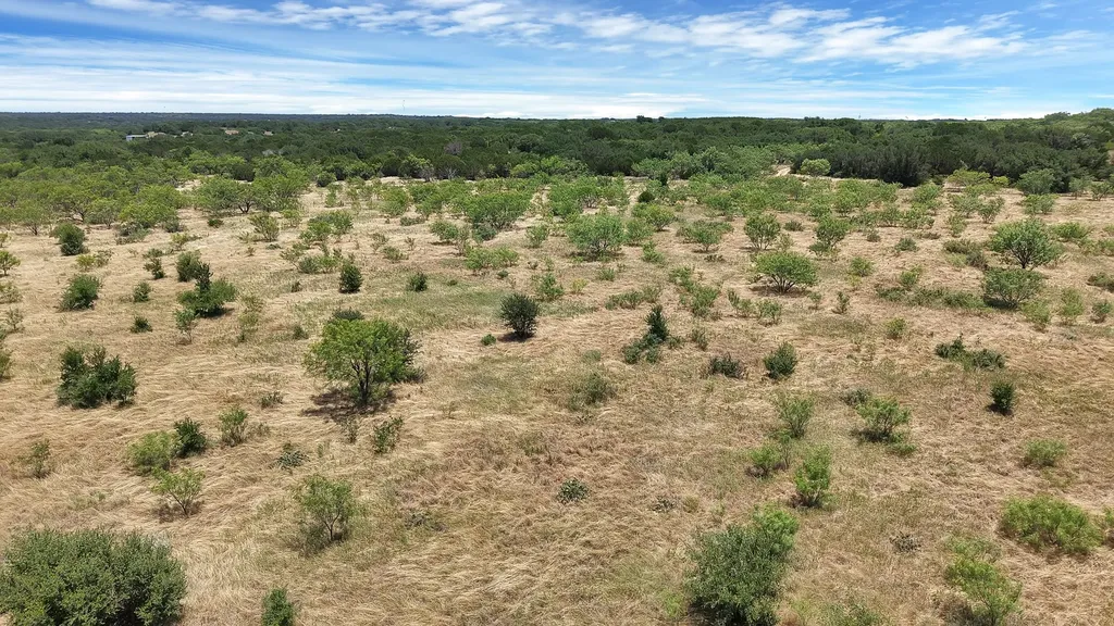 Tbd County Road 136 #59 Ranger TX 76424