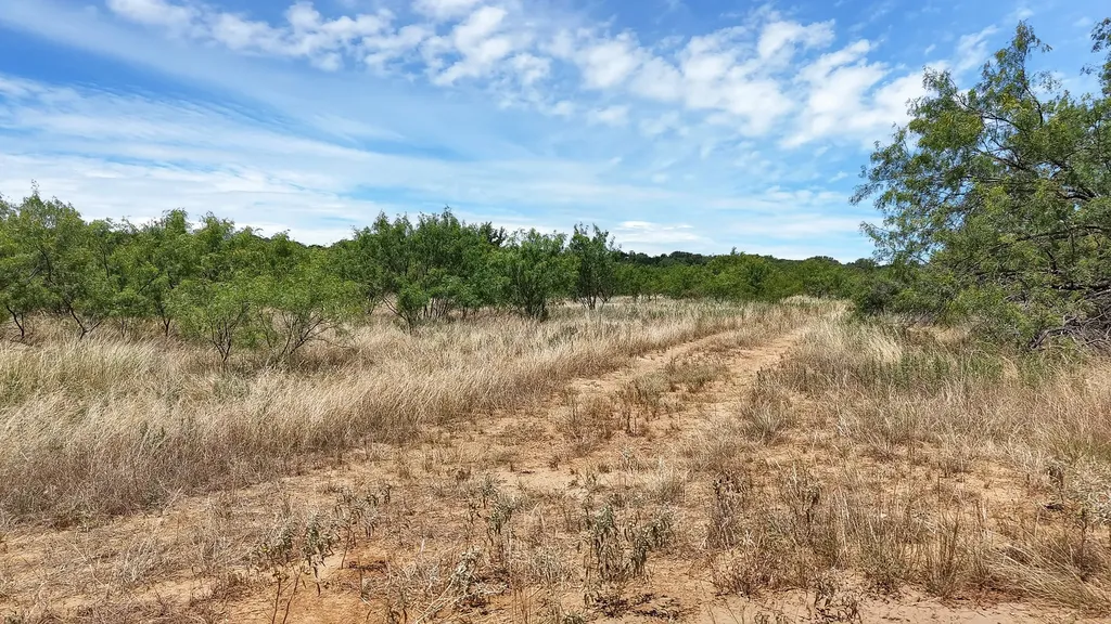 Tbd County Road 136 #59 Ranger TX 76424
