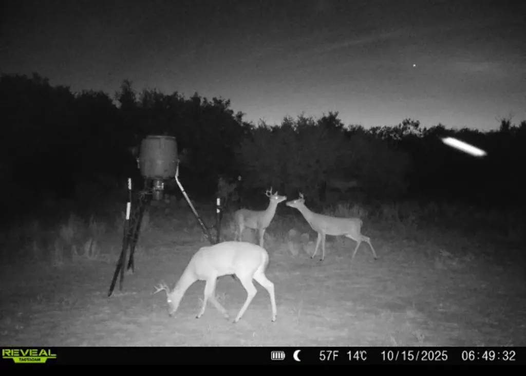 Tbd County Road 136 #59 Ranger TX 76424