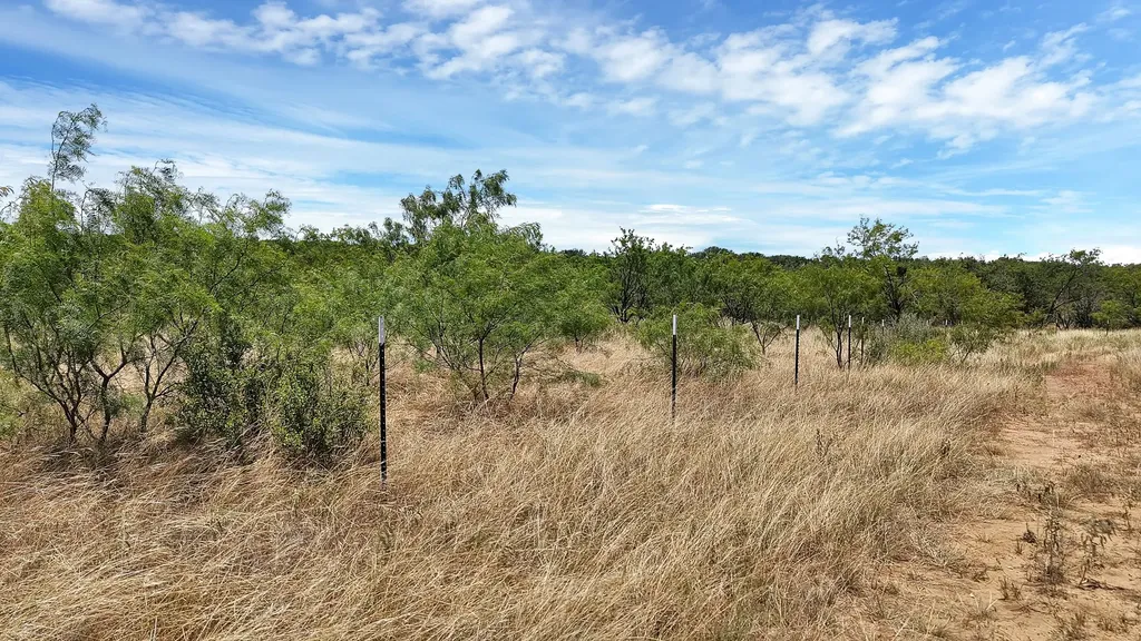 Tbd County Road 136 #59 Ranger TX 76424