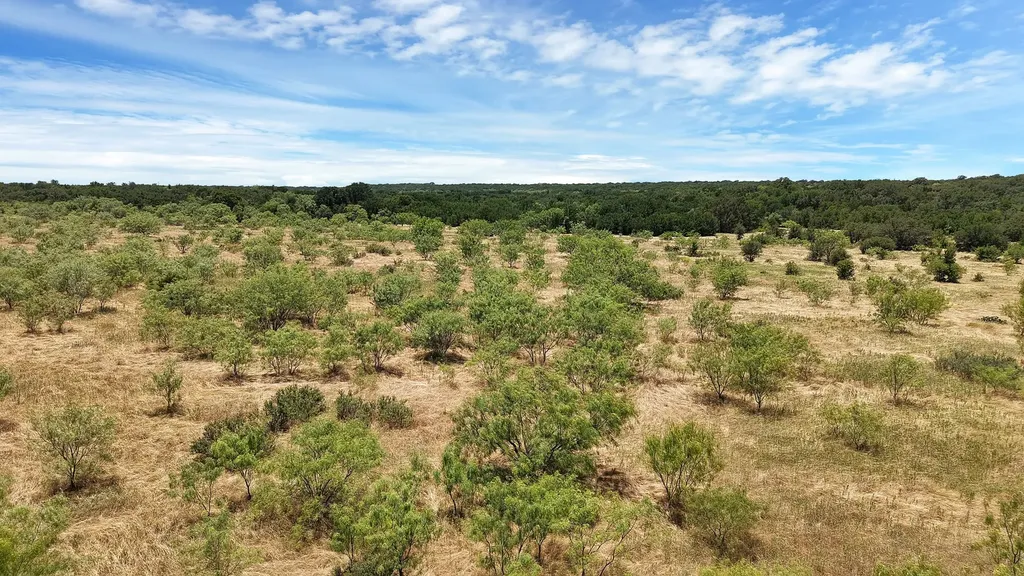 Tbd County Road 136 #59 Ranger TX 76424