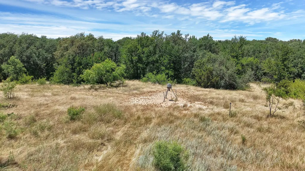 Tbd County Road 136 #59 Ranger TX 76424
