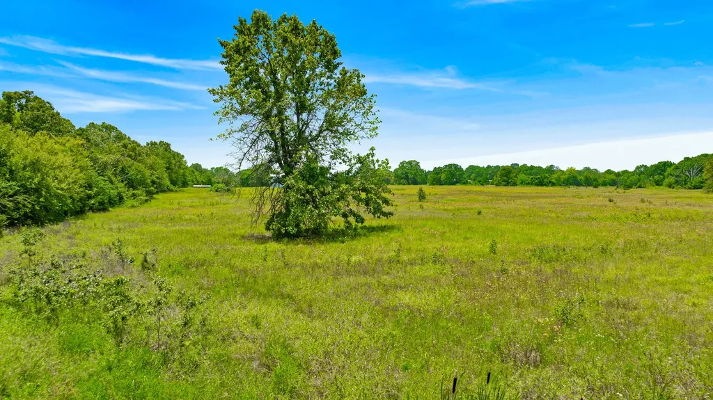 37 County Road 34710 Paris TX 75460